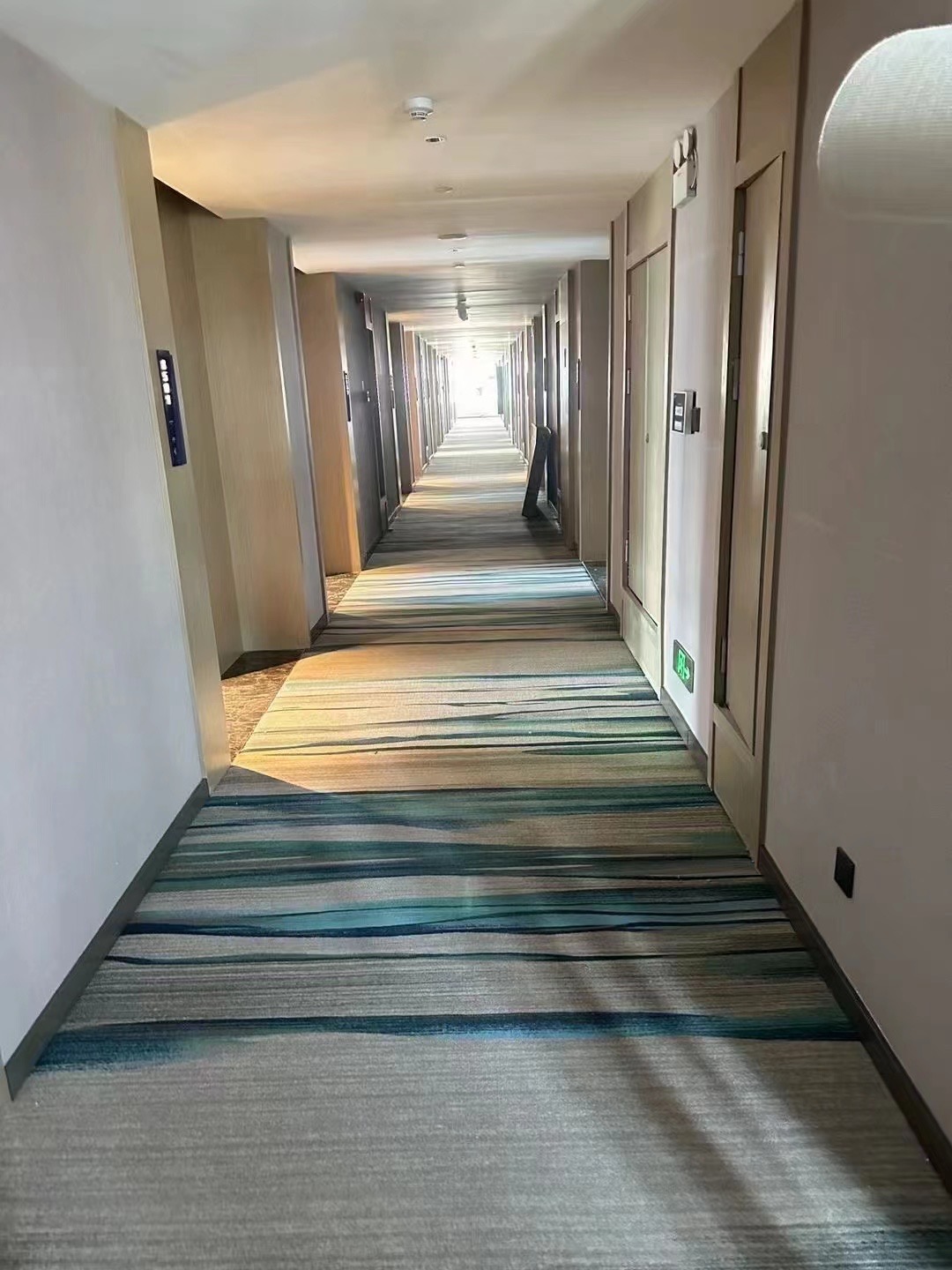 carpet
