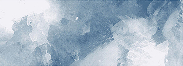 Carpet AD24-0098