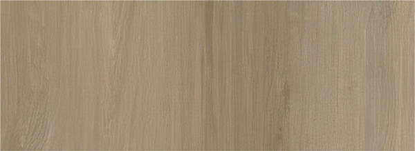 PVC Floor HMOCM6